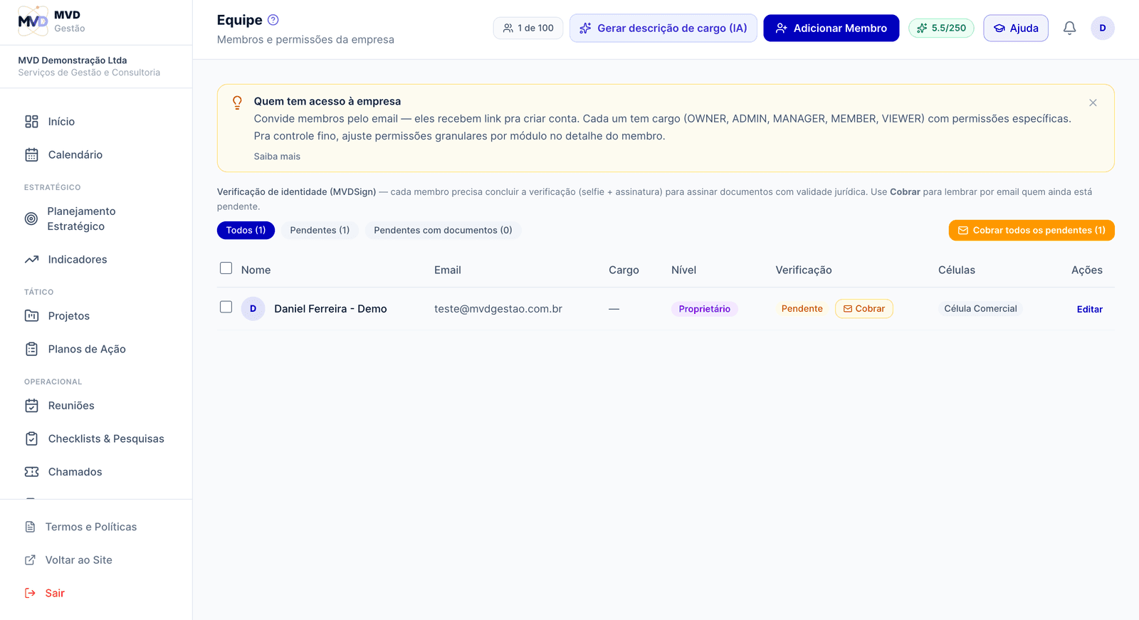 Tela de Equipe com membros, cargos, papéis, verificação e células